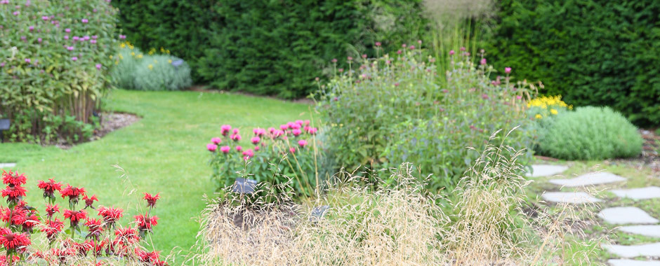 How to use Grasses in your Garden | Bridgwater & Taunton College