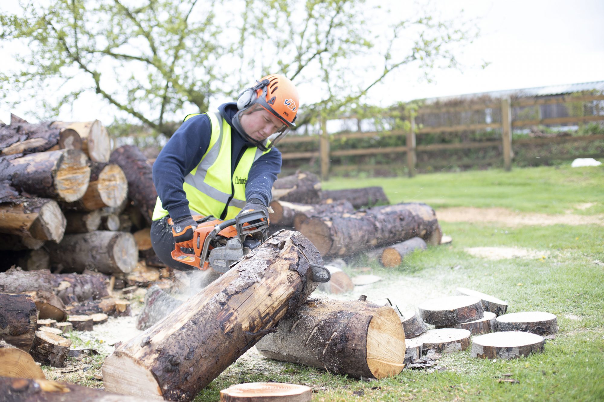 Level 2 Chainsaw Training Course -Arbotrim Training